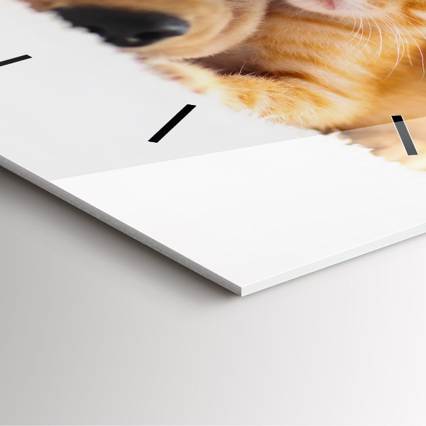 Štvorcové hodiny Spiaca mačka a pes