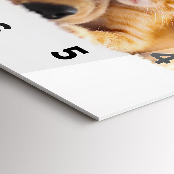 Štvorcové hodiny Spiaca mačka a pes