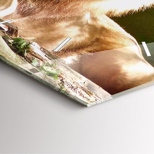 Štvorcové hodiny Portrét leva