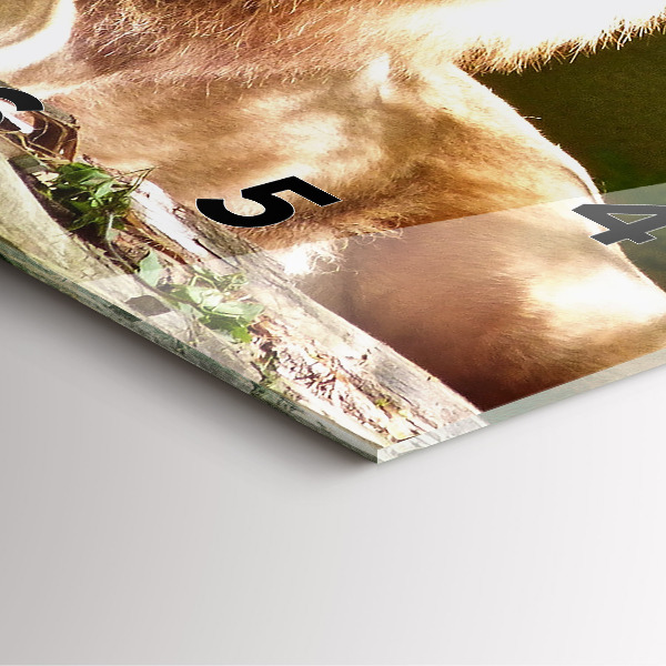 Štvorcové hodiny Portrét leva