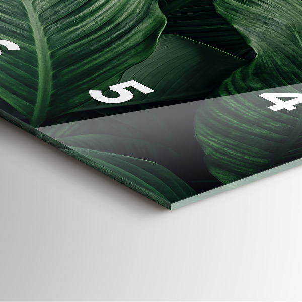 Štvorcové hodiny Tropické monštrum