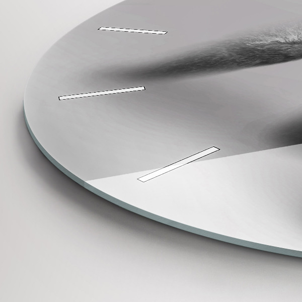 Okrúhle hodiny Zbierka umenia zvierat