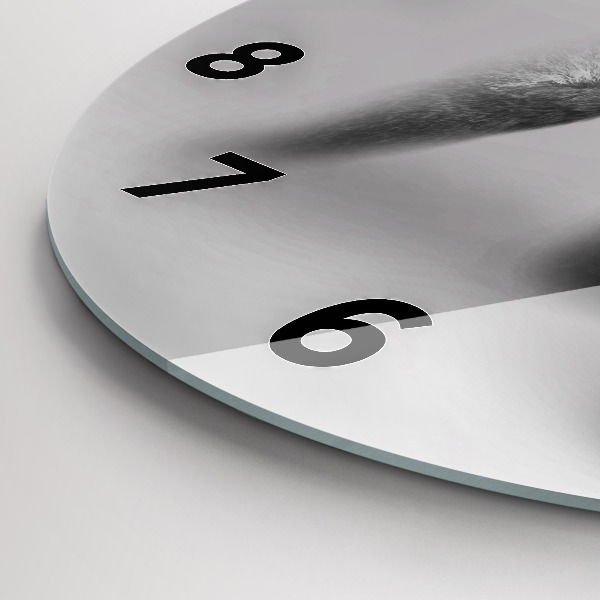 Okrúhle hodiny Zbierka umenia zvierat