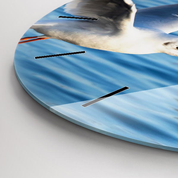 Okrúhle hodiny Čajky v Gdyni