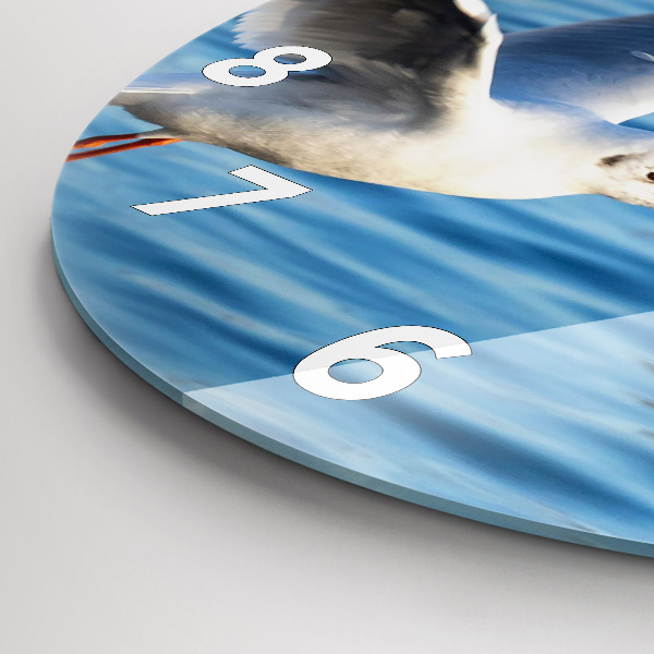 Okrúhle hodiny Čajky v Gdyni