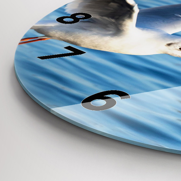 Okrúhle hodiny Čajky v Gdyni