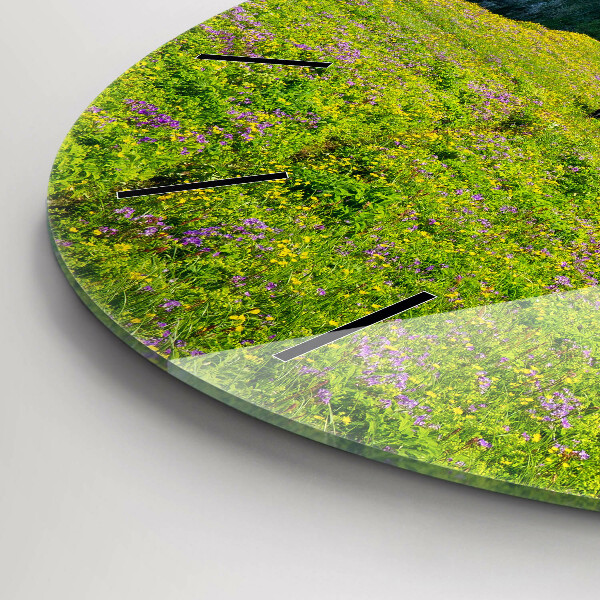 Okrúhle hodiny Islandská rezervácia Hornstrandir