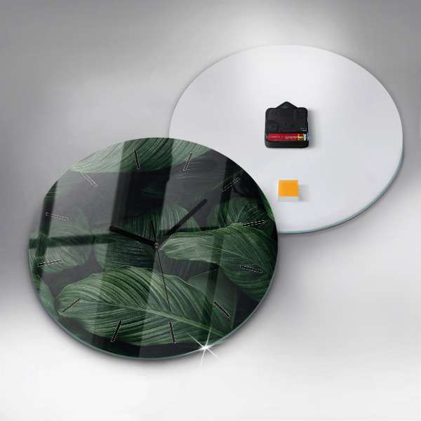 Okrúhle hodiny Tropické monštrum