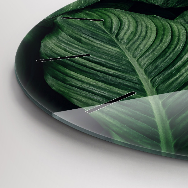 Okrúhle hodiny Tropické monštrum