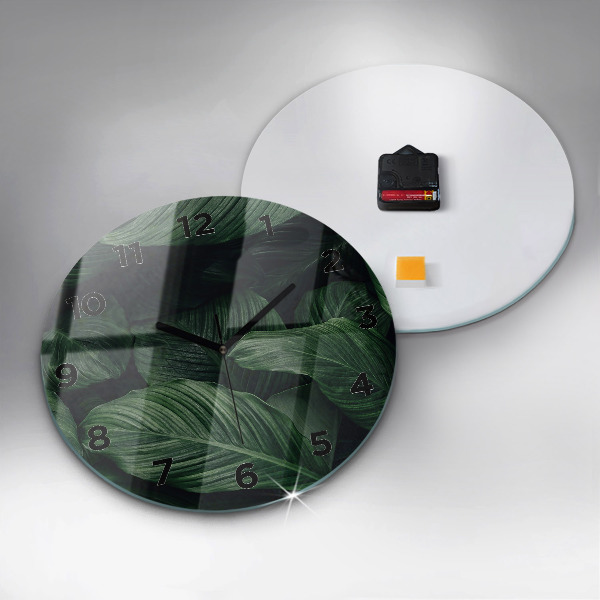 Okrúhle hodiny Tropické monštrum