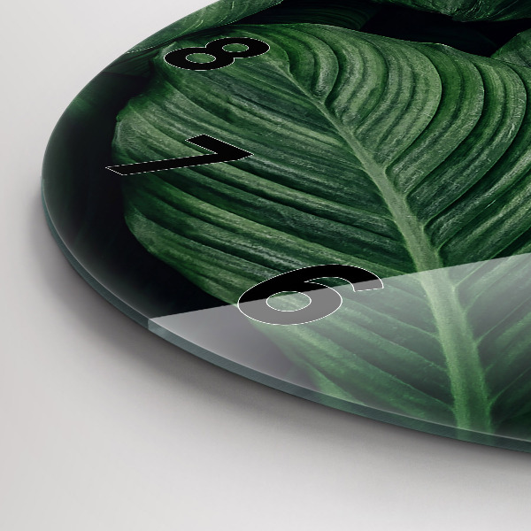 Okrúhle hodiny Tropické monštrum