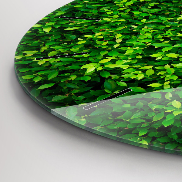 Okrúhle hodiny Živý plot odchádza