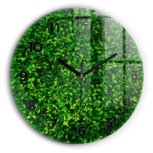 Okrúhle hodiny Živý plot odchádza