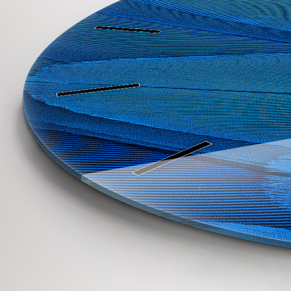 Okrúhle hodiny Vtáčie pierko