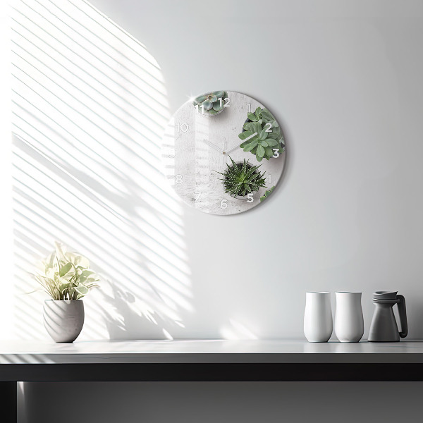 Okrúhle hodiny Dekoratívne rastliny